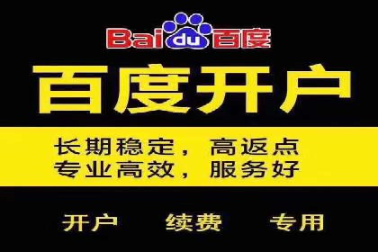 SEM推广公司成功案例：助力企业实现品牌多元化发展